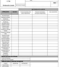 Formulario 743