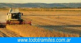 Formulario 911 5 Conoce Como Presentar El Formulario 911 - Valuación De La Tierra Rural