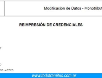 Formulario 184 de AFIP: cuál es, cómo completarlo y descargarlo