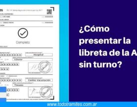 Cómo presentar la Libreta de Asignación Universal por Hijo sin turno