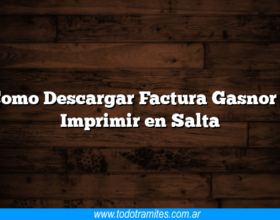 Como Descargar Factura Gasnor e Imprimir en Salta