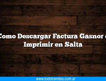 Como Descargar Factura Gasnor e Imprimir en Salta