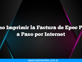 Como Imprimir la Factura de Epec Paso a Paso por Internet