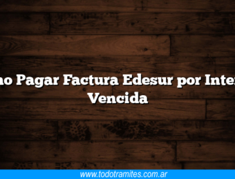 Como Pagar Factura Edesur por Internet Vencida
