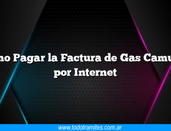 Como Pagar la Factura de Gas Camuzzi por Internet