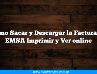 Como Sacar y Descargar la Factura de EMSA Imprimir y Ver online