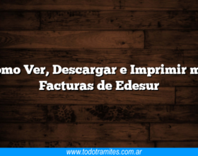 Como Ver, Descargar e Imprimir mis Facturas de Edesur