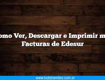 Como Ver, Descargar e Imprimir mis Facturas de Edesur