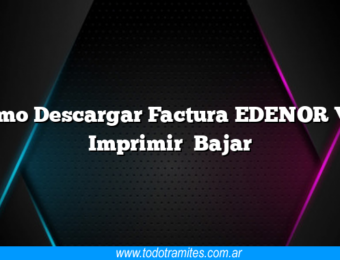Cómo Descargar Factura EDENOR Ver Imprimir Bajar