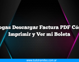 Ecogas Descargar Factura PDF Cómo Imprimir y Ver mi Boleta