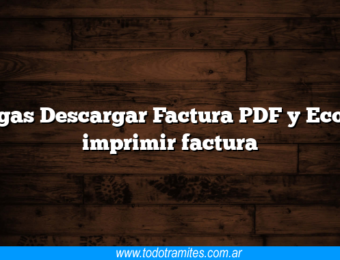 Ecogas Descargar Factura PDF y Ecogas imprimir factura