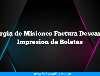 Energía de Misiones Factura Descargar Impresion de Boletas