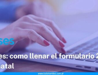 Cómo llenar el formulario 2.55 Prenatal de ANSES