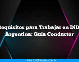Requisitos para Trabajar en DiDi Argentina: Guia Conductor
