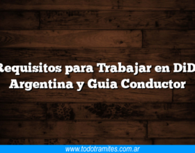 Requisitos para Trabajar en DiDi Argentina y Guia Conductor