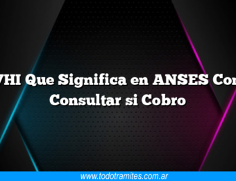 UVHI Que Significa en ANSES Como Consultar si Cobro