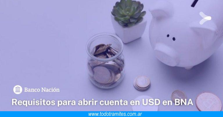 Cómo abrir una caja de ahorro en dólares en el Banco Nación - Tramites ...