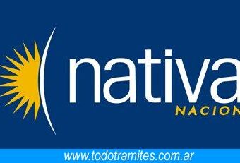 ¿Cómo Puedo Ver el Resumen de la Tarjeta Nativa?