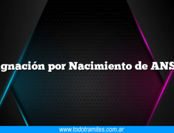 Asignación por Nacimiento de ANSES