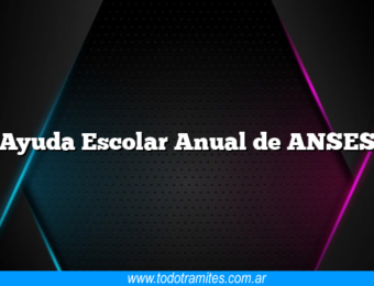Ayuda Escolar Anual de ANSES