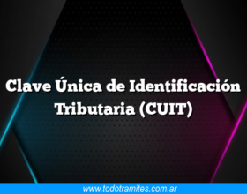 Clave Única de Identificación Tributaria (CUIT)