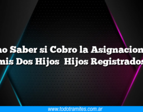 Como Saber si Cobro la Asignacion por mis Dos Hijos Hijos Registrados