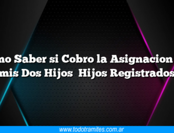 Como Saber si Cobro la Asignacion por mis Dos Hijos Hijos Registrados