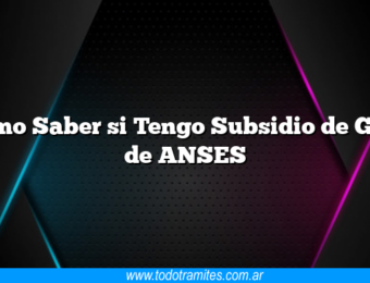 Como Saber si Tengo Subsidio de GAS de ANSES