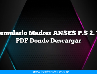 Formulario Madres ANSES P.S 2. 73 PDF Donde Descargar