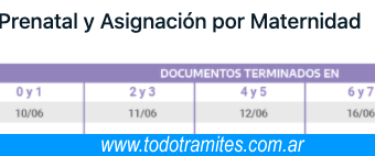 Cuándo Cobro Licencia Por Maternidad En Anses