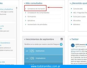 Constancia de ingresos brutos • Formas de obtenerla a través de la web