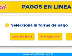 Cómo pagar en Pago Fácil