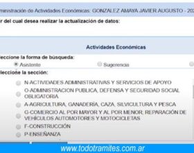 Formulario 883 y Clasificador de Actividades Económicas