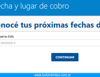 Consultar Saldo Progresar