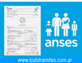 Cómo Sacar Turno Para Entregar Libreta
