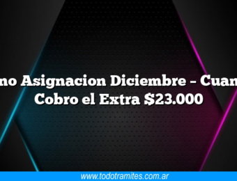 Bono Asignacion Diciembre – Cuando Cobro el Extra $23.000