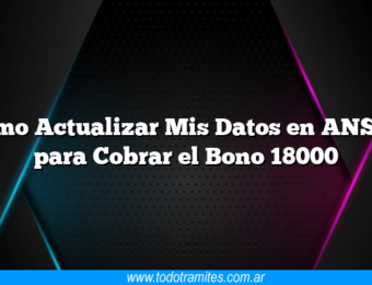 Como Actualizar Mis Datos en ANSES para Cobrar el Bono 18000