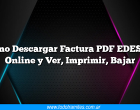 Como Descargar Factura PDF EDESAL Online y Ver, Imprimir, Bajar