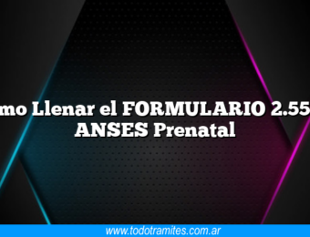 Como Llenar el FORMULARIO 2.55 de ANSES Prenatal