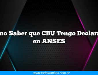 Como Saber que CBU Tengo Declarado en ANSES