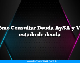 Cómo Consultar Deuda AySA y Ver estado de deuda
