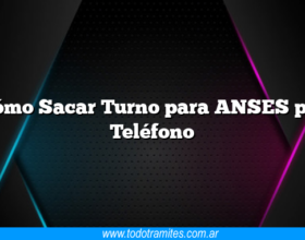 Cómo Sacar Turno para ANSES por Teléfono