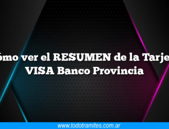Cómo ver el RESUMEN de la Tarjeta VISA Banco Provincia