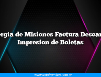 Energía de Misiones Factura Descargar Impresion de Boletas