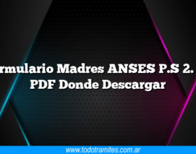 Formulario Madres ANSES P.S 2. 73 PDF Donde Descargar
