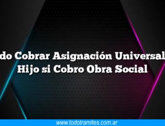 Puedo Cobrar Asignación Universal por Hijo si Cobro Obra Social