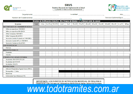planilla c2 Guía Para Completar La Planilla C2 De La Vigilancia Clínica