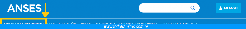 Formulario 2.46 Paso 1 descargar Formulario 2.46