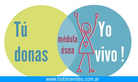 ¿Cuáles Son Los Requisitos Para Donar Médula Ósea? 2 Requisitos para donar medula ósea 1 ¿Cuáles Son Los Requisitos Para Donar Médula Ósea?