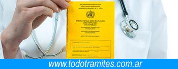 Qué Es El Certificado De Vacunación